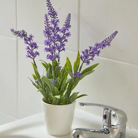 Апартаменты Alfama Light-filled Apartment, By Timecooler Лиссабон