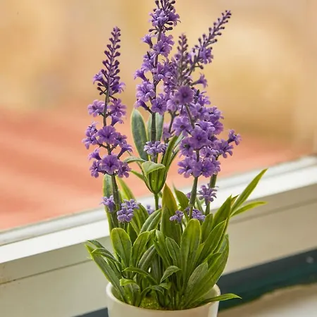 Alfama Light-filled Apartment, By Timecooler Лиссабон