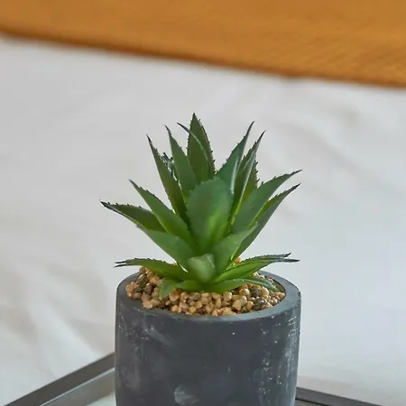 Alfama Light-filled Apartment, By Timecooler Διαμέρισμα Lisboa