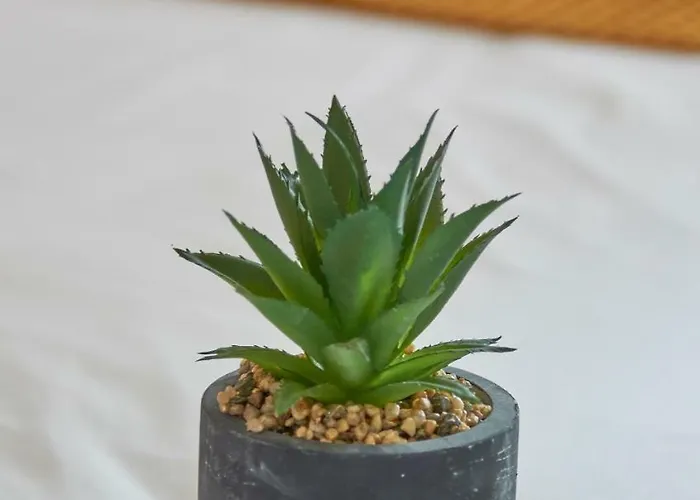 Alfama Light-filled Apartment, By Timecooler شقة Lisboa