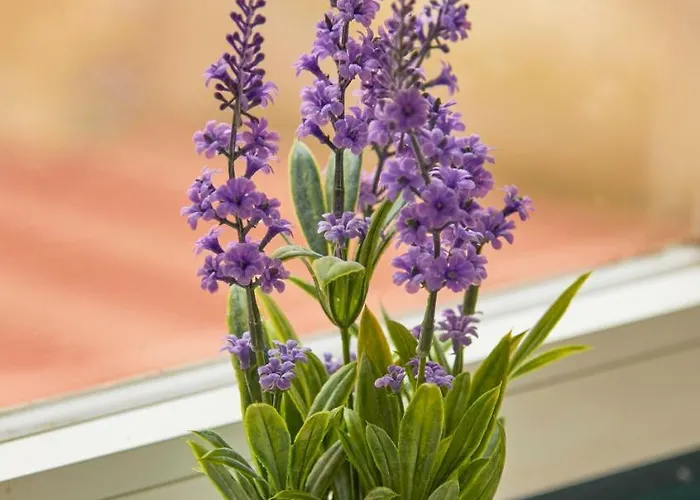 Alfama Light-filled Apartment, By Timecooler Lisboa